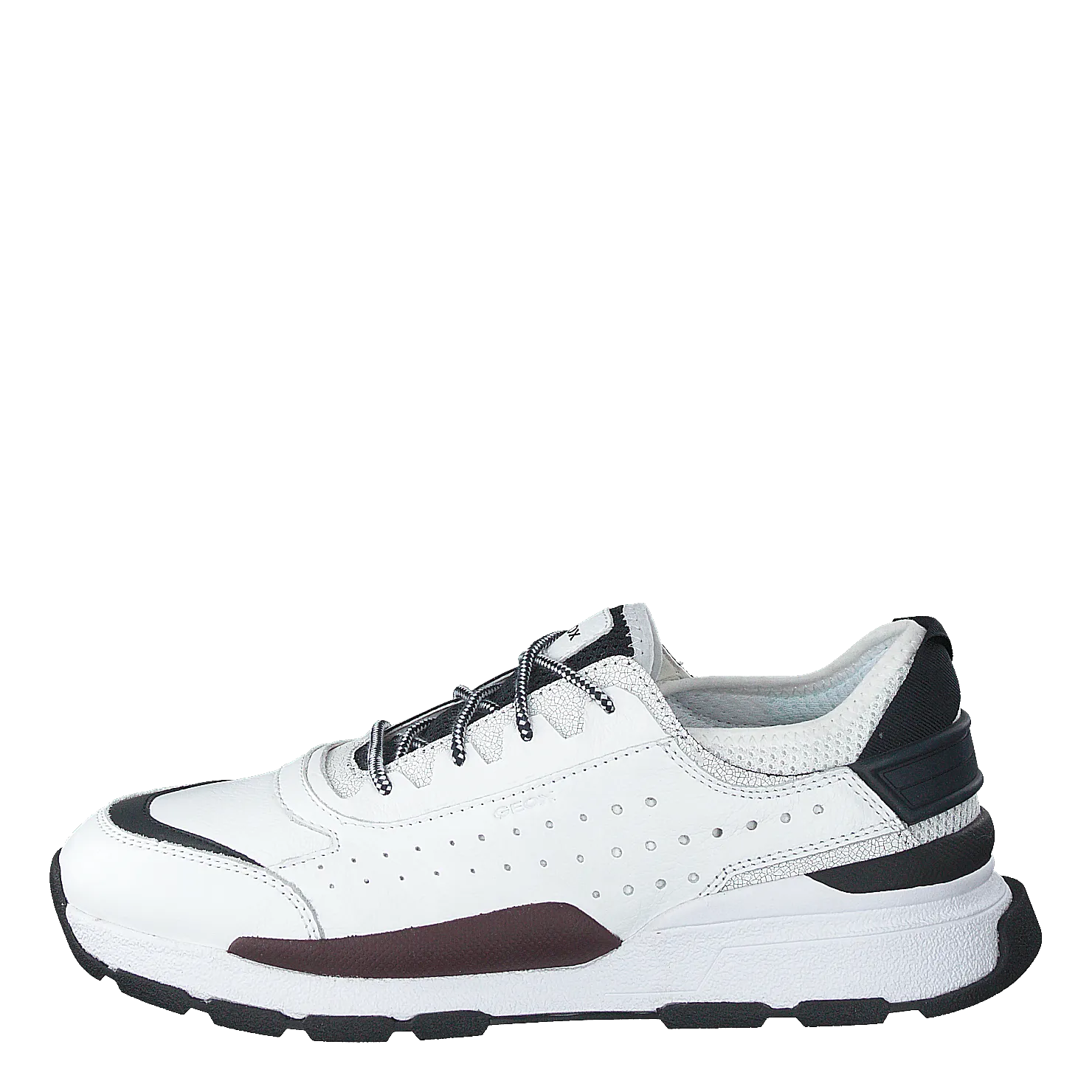 Geox calzado U Regale White
