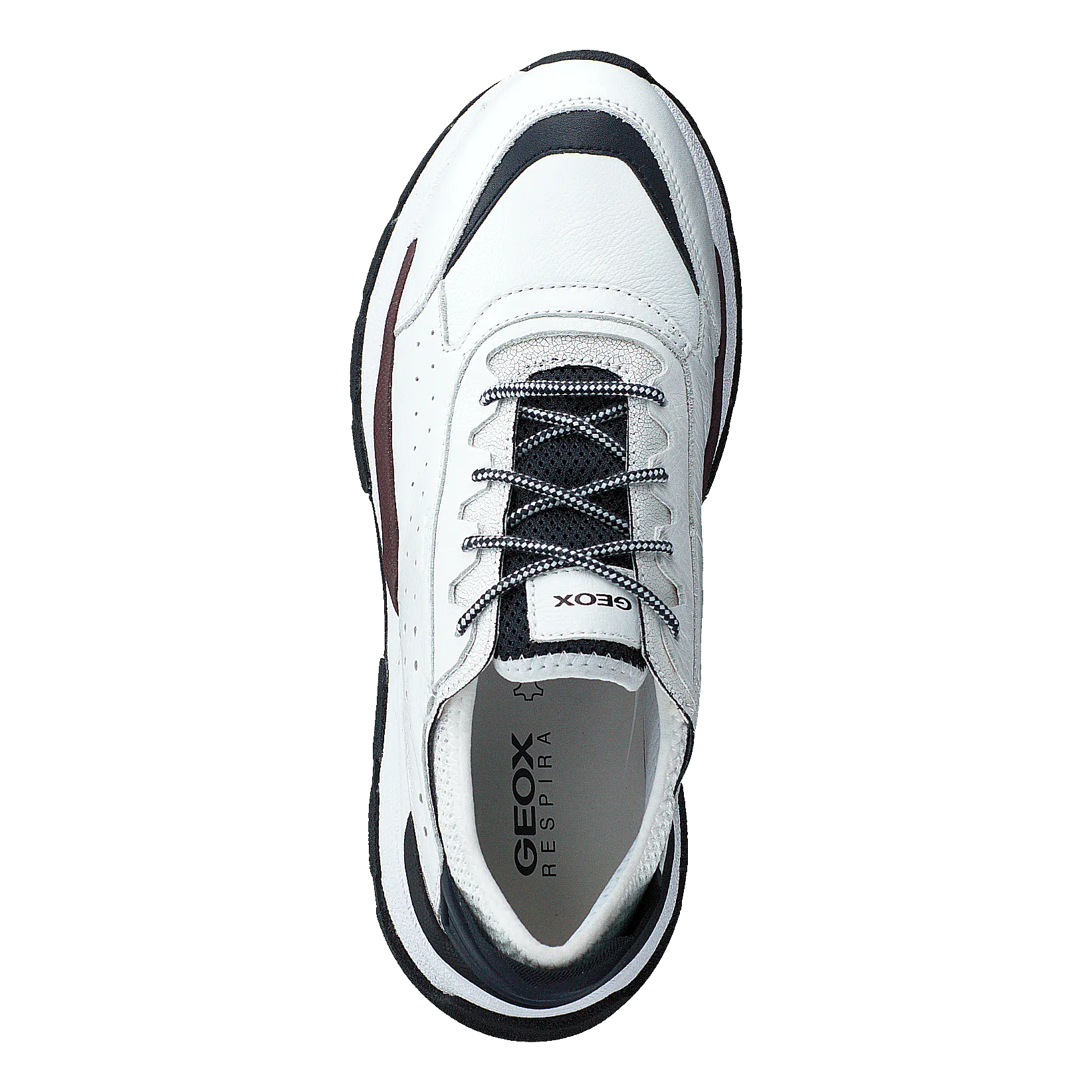Geox calzado U Regale White