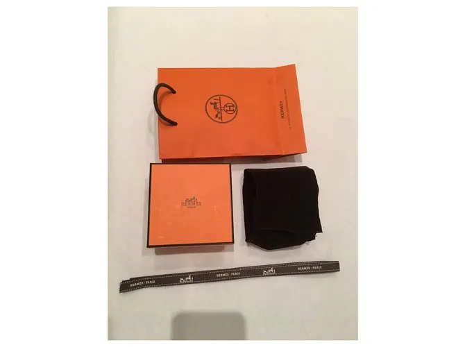 Hermès Collier de Chien Naranja 