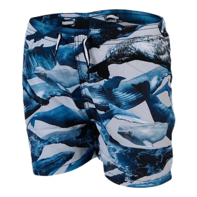 Molo Niko Swim Shorts Blue